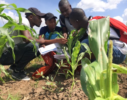Canadá quer apoiar Moçambique na agricultura, turismo e mineração
