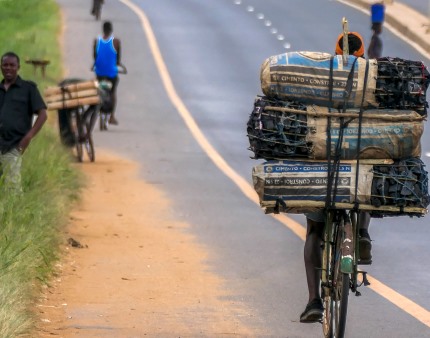 Polícia moçambicana apreende 1.400 sacos de carvão com destino à África do Sul