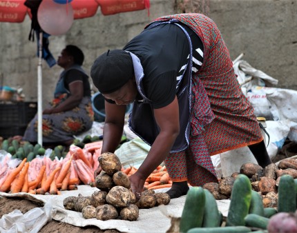 Moçambique projeta mais de 21 milhões de toneladas de alimentos em campanha agrária