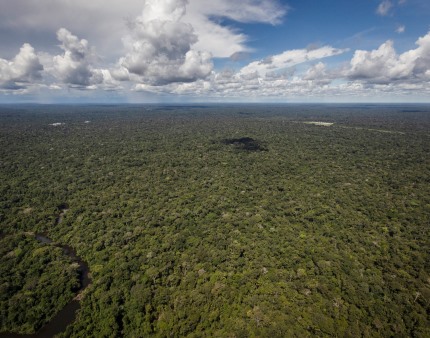 Incêndios na Amazônia brasileira caem em setembro para o nível mais baixo em 25 anos