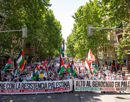 Cerca de 4.000 desfilam em Madrid em apoio à Palestina e rutura com Israel