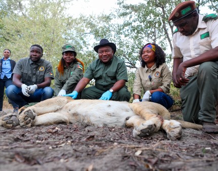 Noruega dá 5,6 ME para apoiar atividades no parque moçambicano da Gorongosa