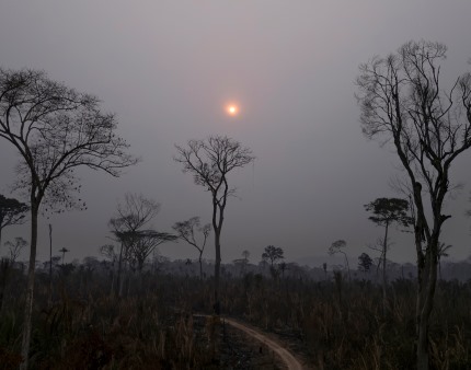 Incêndios na Amazónia brasileira em março cresceram 13,2%