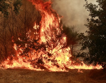 Brasil regista o menor número de incêndios no mês de agosto em 27 anos