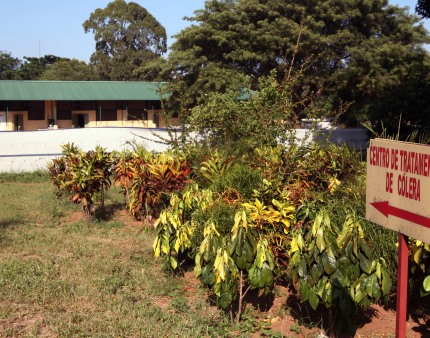 Quase 4.000 infetados e 62 mortos em oito meses de surto de cólera em Moçambique