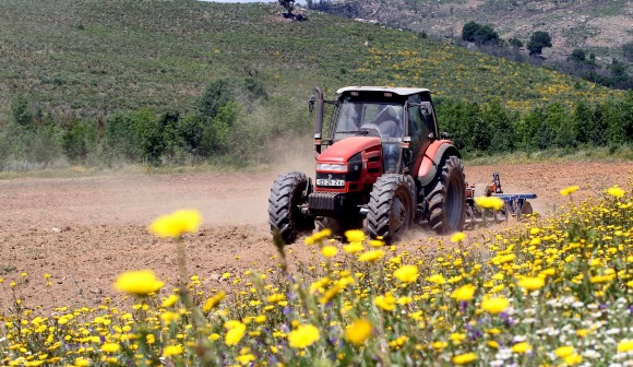Portugal com 2.ª maior quebra da UE na produtividade do trabalho agrícola em 2025
