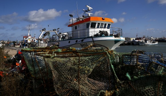 Pesca de goraz pode vir a ser encerrada com 80% da quota já esgotada