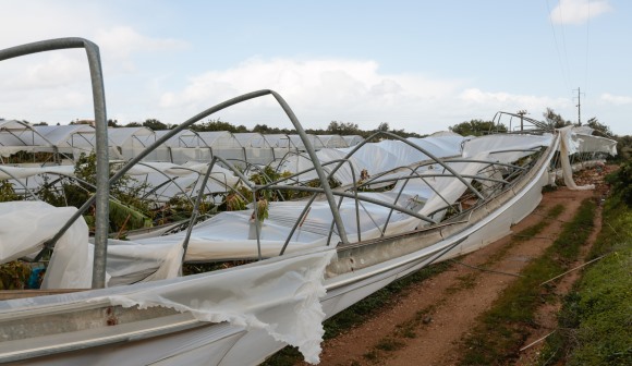 Prejuízos no setor agrícola rondam 500 ME e ajudas não chegaram - CAP