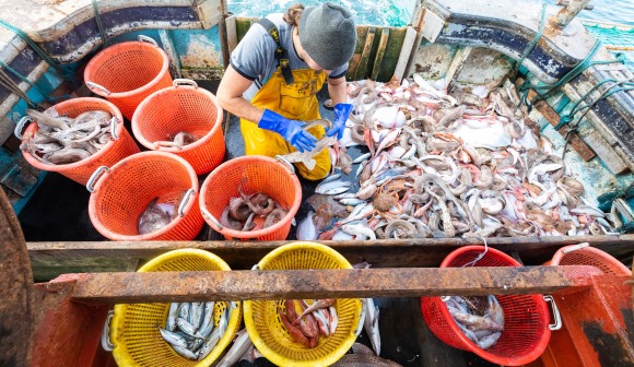 2025 foi ano "histórico" para pesca sustentável na Península Ibérica