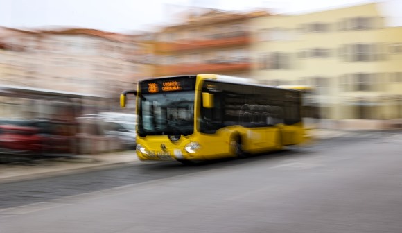 Transporte público não se fomenta com "autocarros presos no trânsito" - especialista