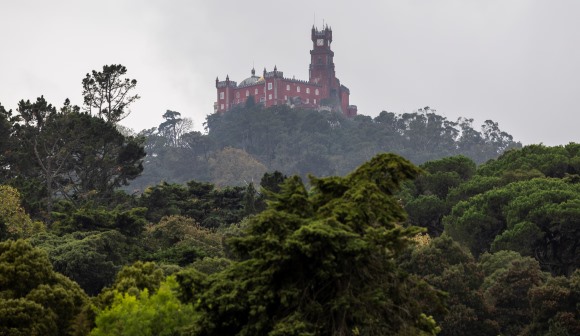 Parques de Sintra distinguida pela 13.ª vez consecutiva como melhor do mundo em conservação