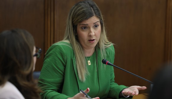 Parlamento aprova audição da ministra da Cultura sobre modelo de apoio às artes