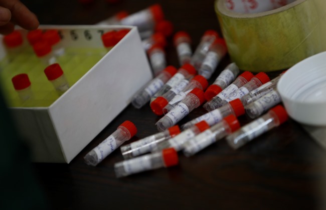 Covid-19: Desportivo das Aves testa negativo e mantém jogador infetado em isolamento